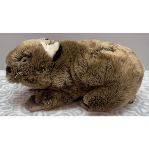 Tina the Wombat Soft Plush Toy 17" Bocchetta Plush Toys Stuffed Animal Australia